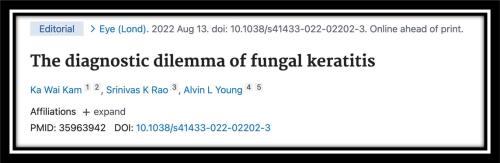 The diagnostic dilemma of fungal keratitis