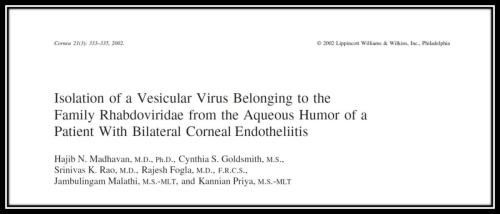 Isolation of a vesicular virus belonging to riboviridae from aqueous humor of pt with bilateral corneal endothelitis